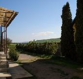 Csal�di h�z s�rg�sen elad�